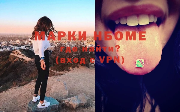 гидра Ахтубинск