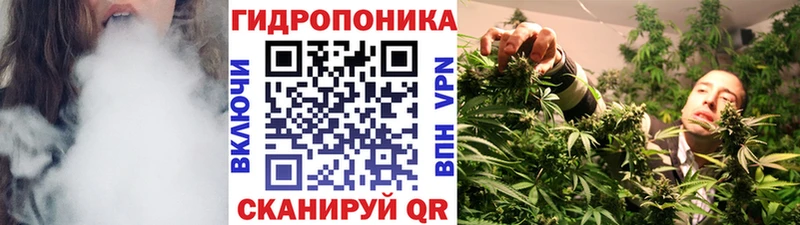 Бошки марихуана MAZAR  купить наркотики цена  Ильский 